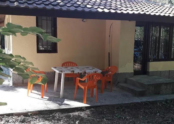 енерджи 바르나