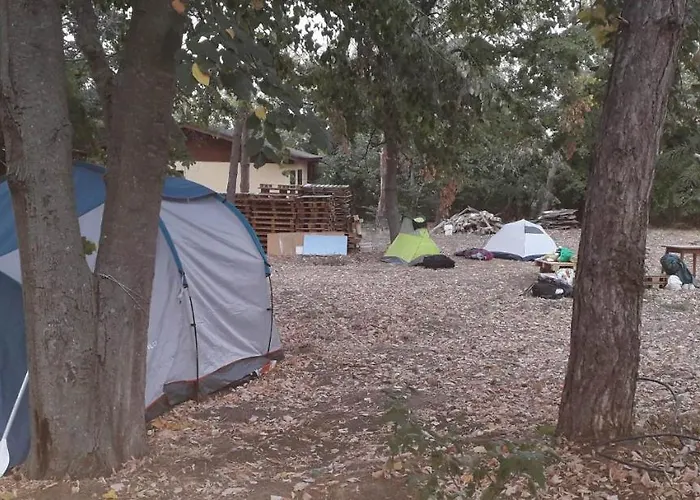 캠프장 енерджи