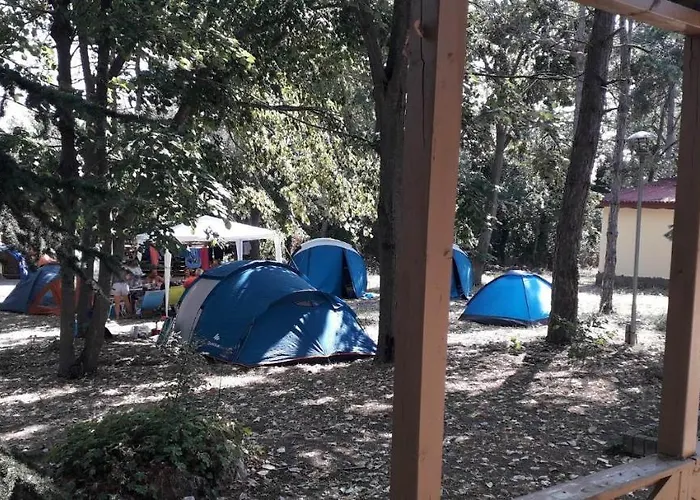 캠프장 енерджи