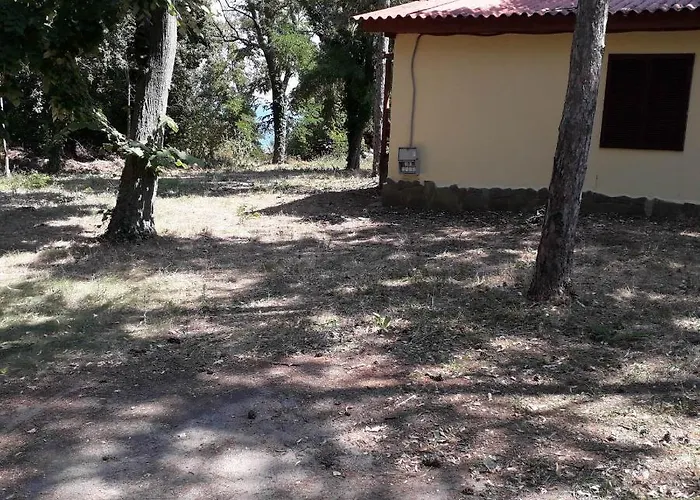 캠프장 енерджи 바르나