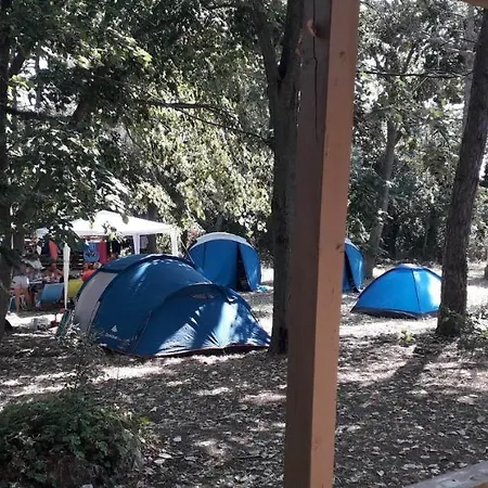 Campsite енерджи