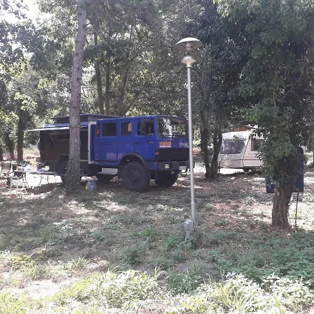 Campsite енерджи