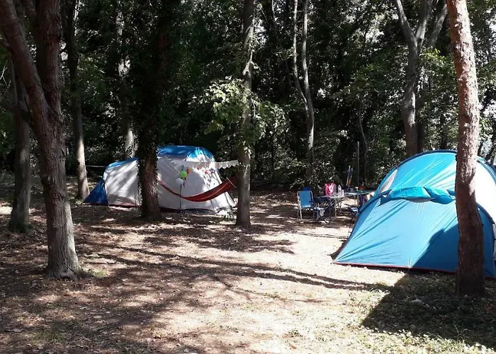 енерджи فارنا